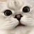 КоТоВаСиЯ
